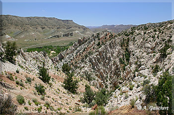 Cottonwood Canyon
